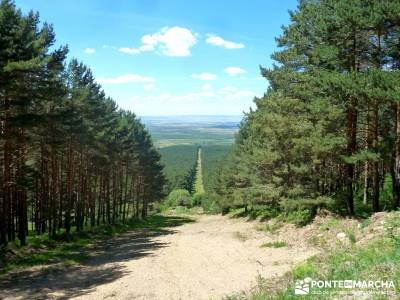 Cuerdas de La Pinilla y Las Berceras; ruta por madrid, rutas sierra madrid;rutas senderismo sierra d